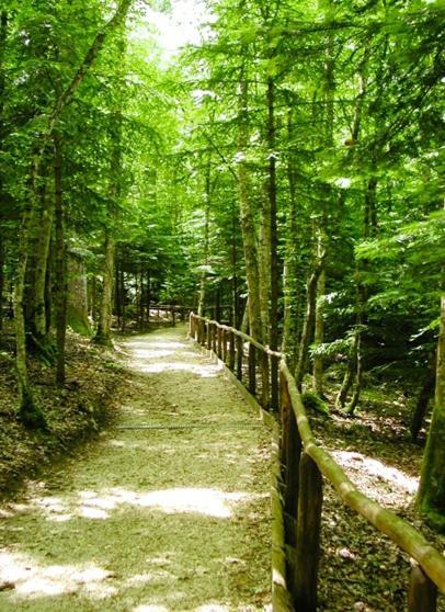 B & B Il Tratturo San Pietro Avellana Buitenkant foto